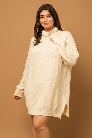 Turtle Neck Sweater Dress